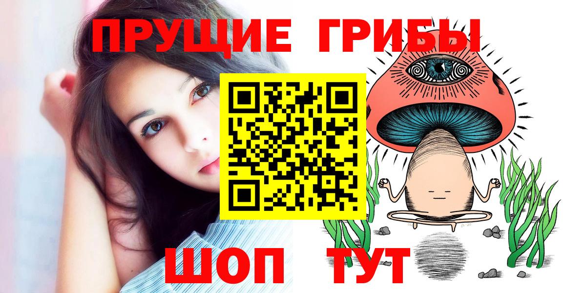 Буйнакск  где найти наркотики  Вход с VPN  Галлюциногенные грибы Magic Shrooms 