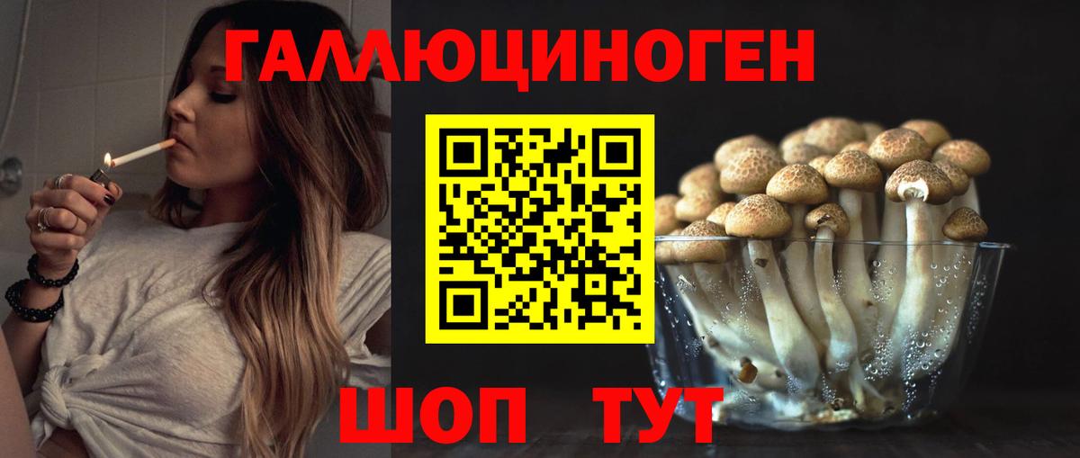 Галлюциногенные грибы Cubensis Буйнакск